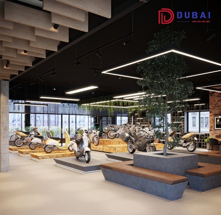 Thiết Kế Nội Thất Showroom