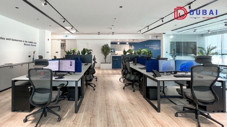 thiết kế nội thất văn phòng